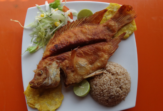 Mojarra Frita